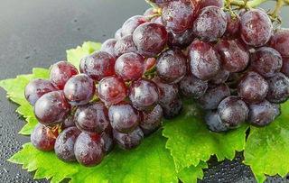 搞笑水果测试,水果界的搞笑达人大盘点